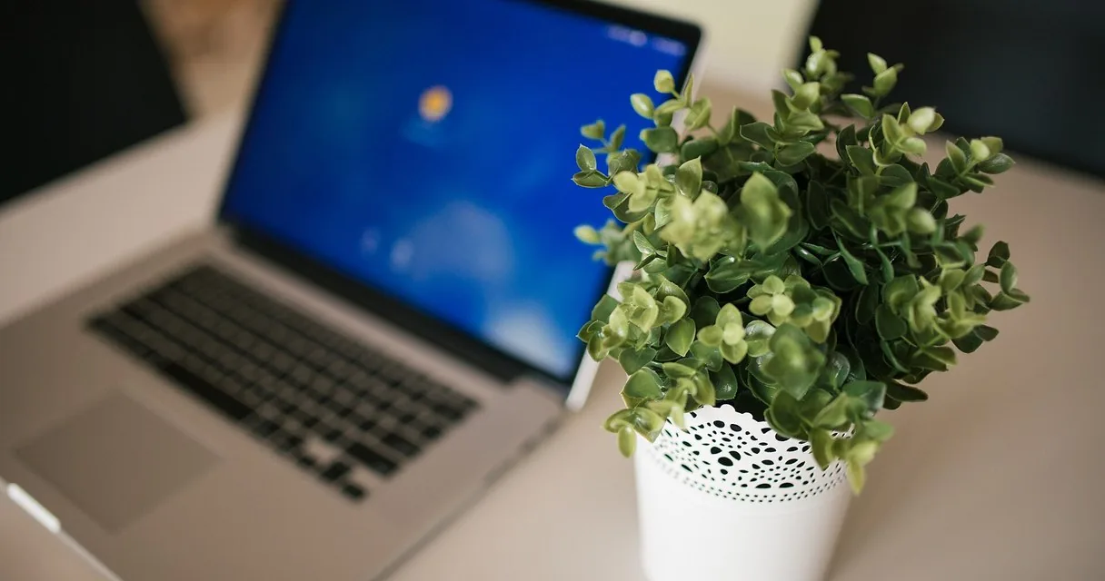 Portátil y una planta sobre un escritorio moderno