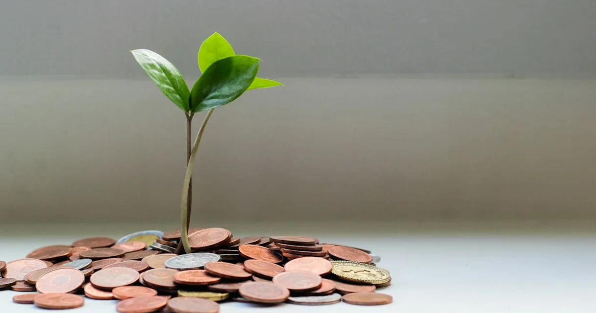 Monedas apiladas con una planta creciendo encima: metáfora de hacer crecer la pensión